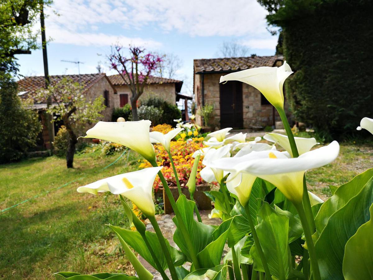 Agriturismo Grecinella Казоле-д'Ельса Екстер'єр фото
